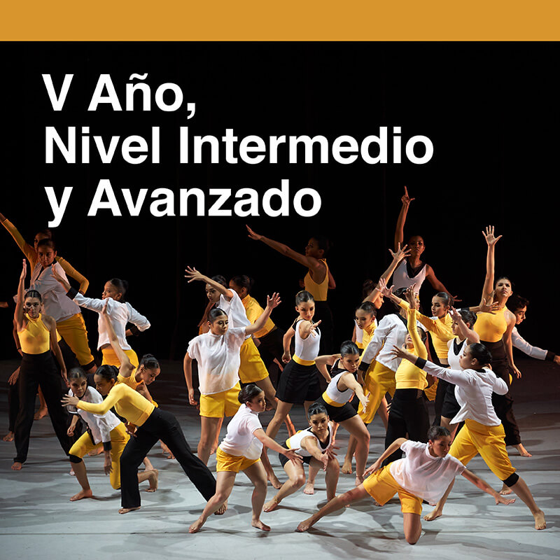 V Año, Nivel Avanzado