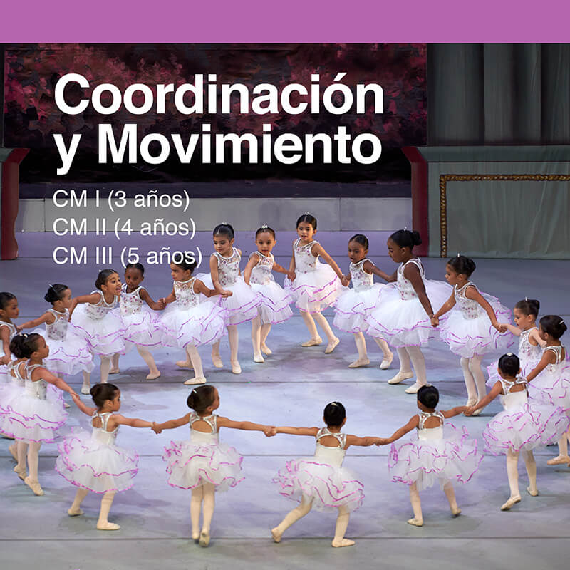 coordinación y movimiento
